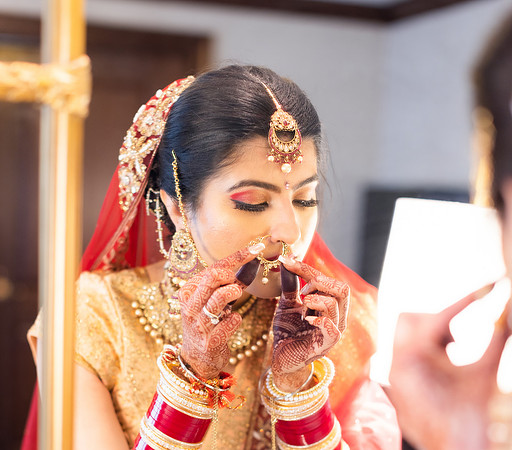 Dan&Nalini Wedding-304