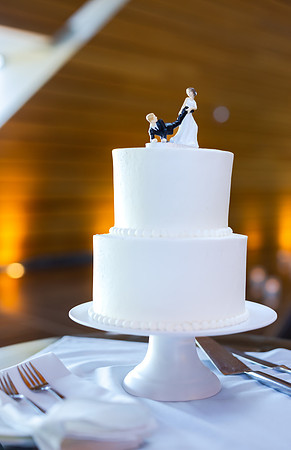 Kavan&Shaina_Reception-206
